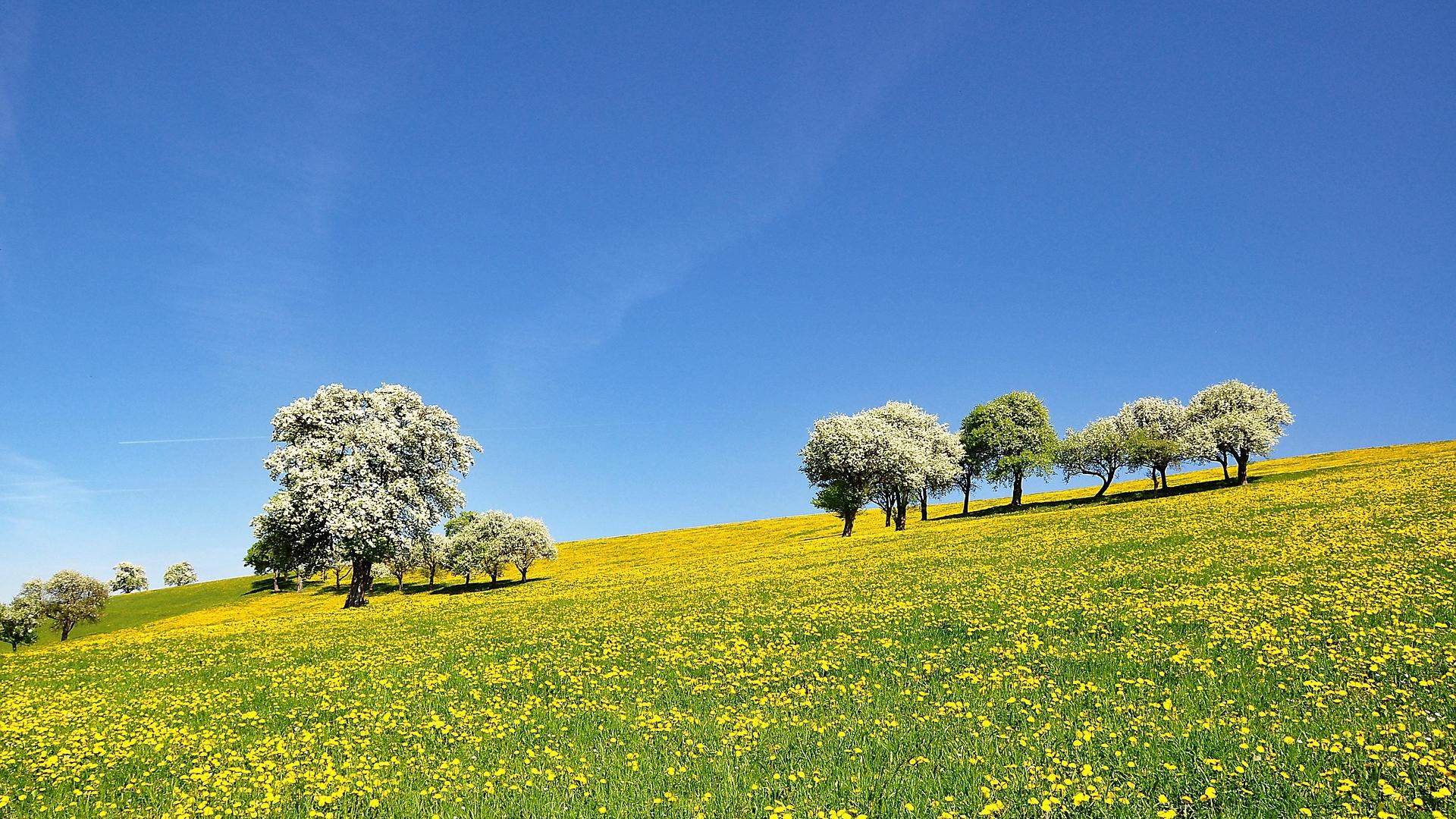 Dr. Jürgen Heinze, Pfr.