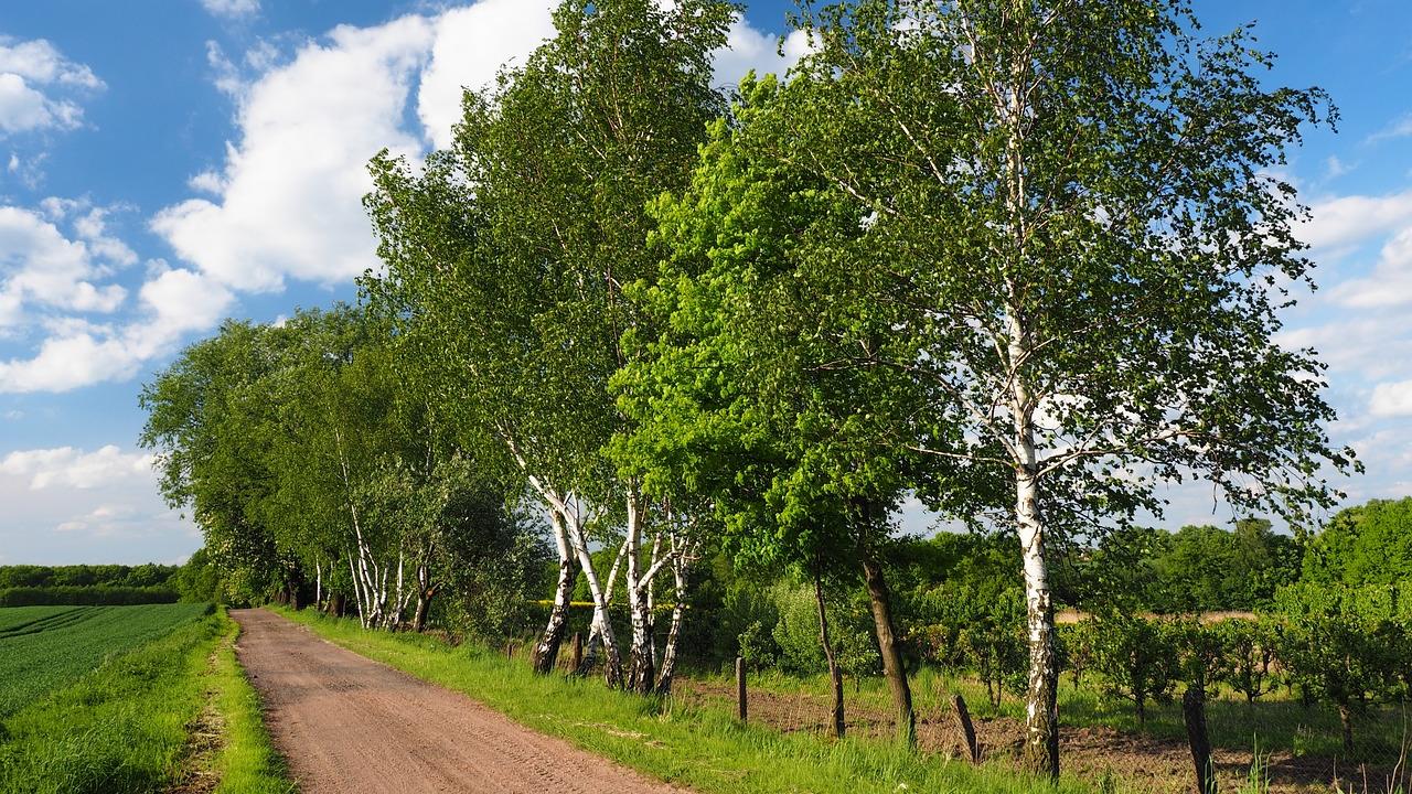 Dr. Jürgen Heinze, Pfr.